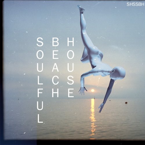 soulful beach house shamanstems free download