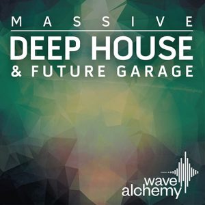 future house massive presets free download