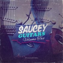 JJ Saucey Guitars Vol 2 WAV