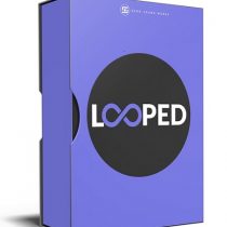 Echo Sound Works Looped WAV