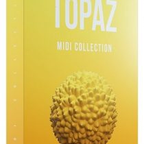 Cymatics Topaz MIDI Collection
