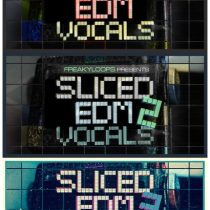 FL Sliced EDM Vocals Vol.1-3 WAV