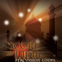 Big Fish Audio Score of India Percussion Loops MULTiFORMAT