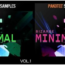 Pakotec Samples Bizarre Minimal Vol 1 & 2 WAV REX AIFF