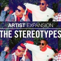 NI Artist Expansion The Stereotypes v1.0