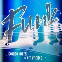 HQO FUNK GUITAR RIFFS and LIT VOCALS WAV