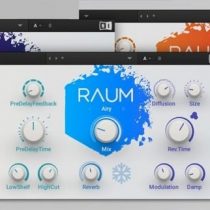 Native Instruments Raum v1.0.0 WIN & MacOSX