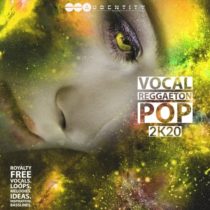 Vocal Reggaeton Pop 2K20 WAV