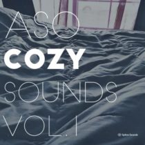 Splice Sounds Aso Cozy Sounds Vol.1 WAV