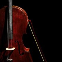 Auddict United Strings of Europe: Basses KONTAKT