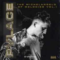 Splice Pvlace Michelangelo of Melodies Vol. 1 WAV