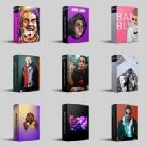 TheWavMan Vocal Preset Chains Bundle (FLP)