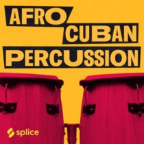 Splice Originals Afro Cuban Percussion with Elizabeth Pupo Walker WAV