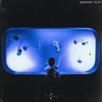 Touch Loops Aquarium Dream WAV MIDI