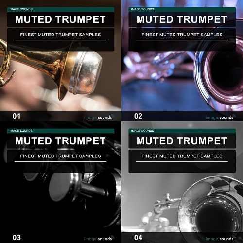 image-sounds-muted-trumpet-01-04-wav-free-download-r2rdownload