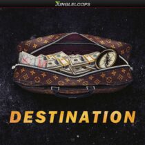 Jungle Loops Destination WAV MIDI FLP