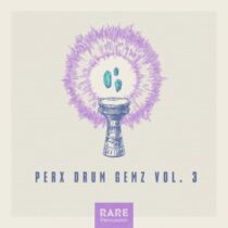 RARE Percussion Perx Drum Gemz Vol.3 WAV