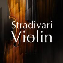 NI Stradivari Violin v1.0.0 Kontakt Library