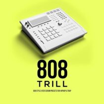 808 Trill - 808 Style Xfer Serum Presets