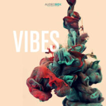 AudeoBox Vibes