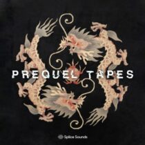 Sounds from the Dragon Room by Prequel Tapes WAV